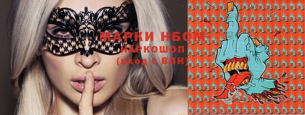 ECSTASY Корсаков
