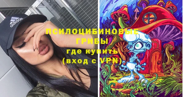 сатива Струнино