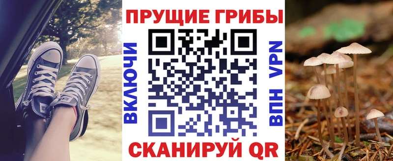 Псилоцибиновые грибы прущие грибы сколько стоит Приволжский
