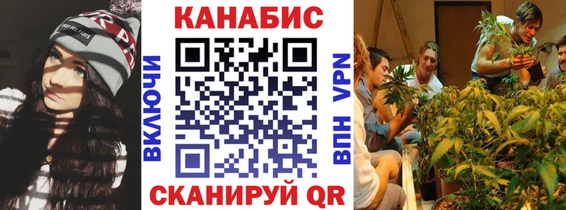 Канабис планчик Приволжский
